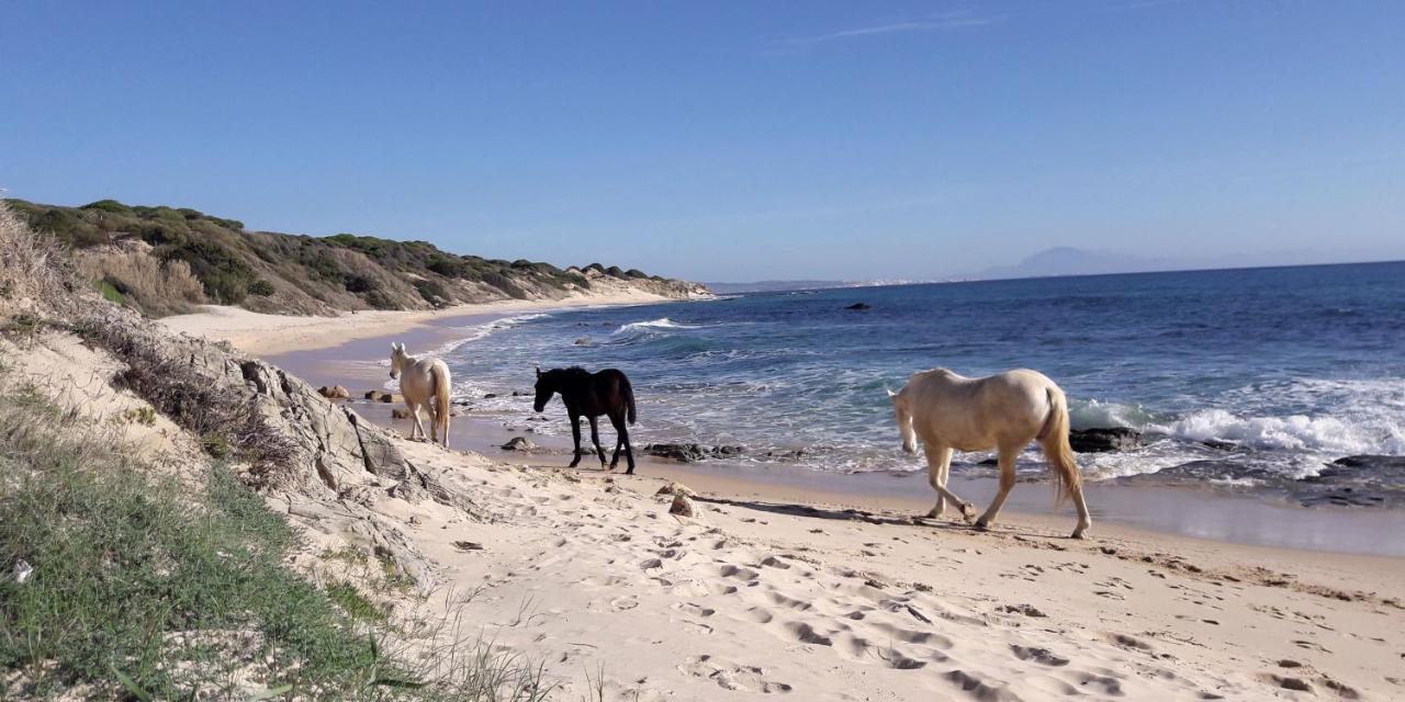 Tarifa-Blick Auf Afrika, Haus Am Meer, Haustiere Erlaubt Exterior foto